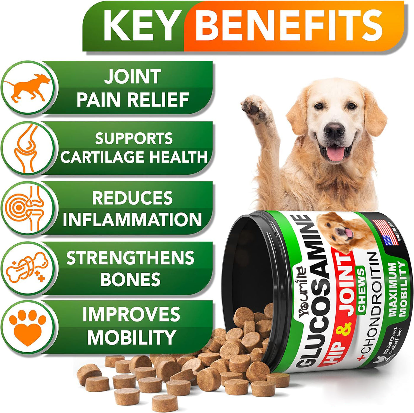 Natural Hip & Joint Support for Dogs