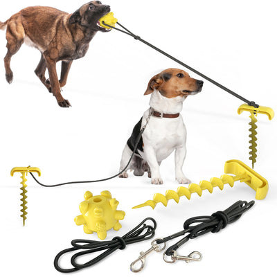 Durable Tie-Out Dog Leash Toy