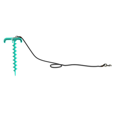 Durable Tie-Out Dog Leash Toy