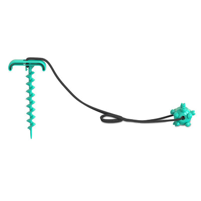 Durable Tie-Out Dog Leash Toy