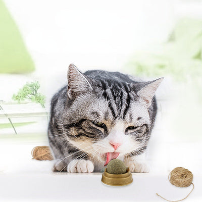 Catnip Balls for Cats