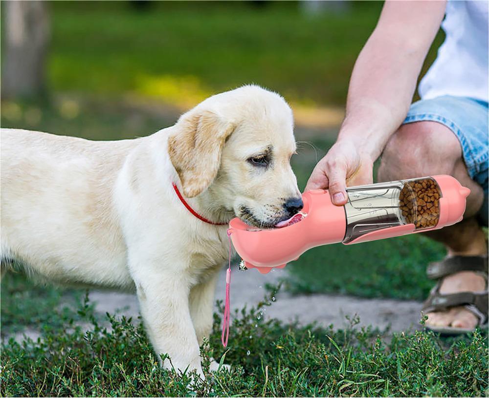Trending 3-in-1 Dog Water Bottle