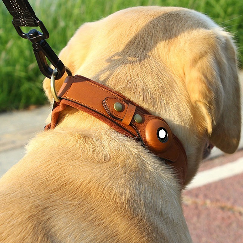 Premium First Layer Leather Dog Collar with GPS Location Tracker