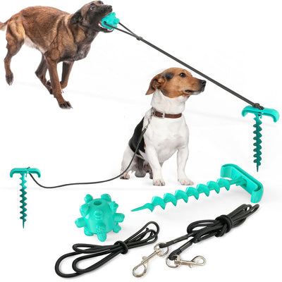 Durable Tie-Out Dog Leash Toy