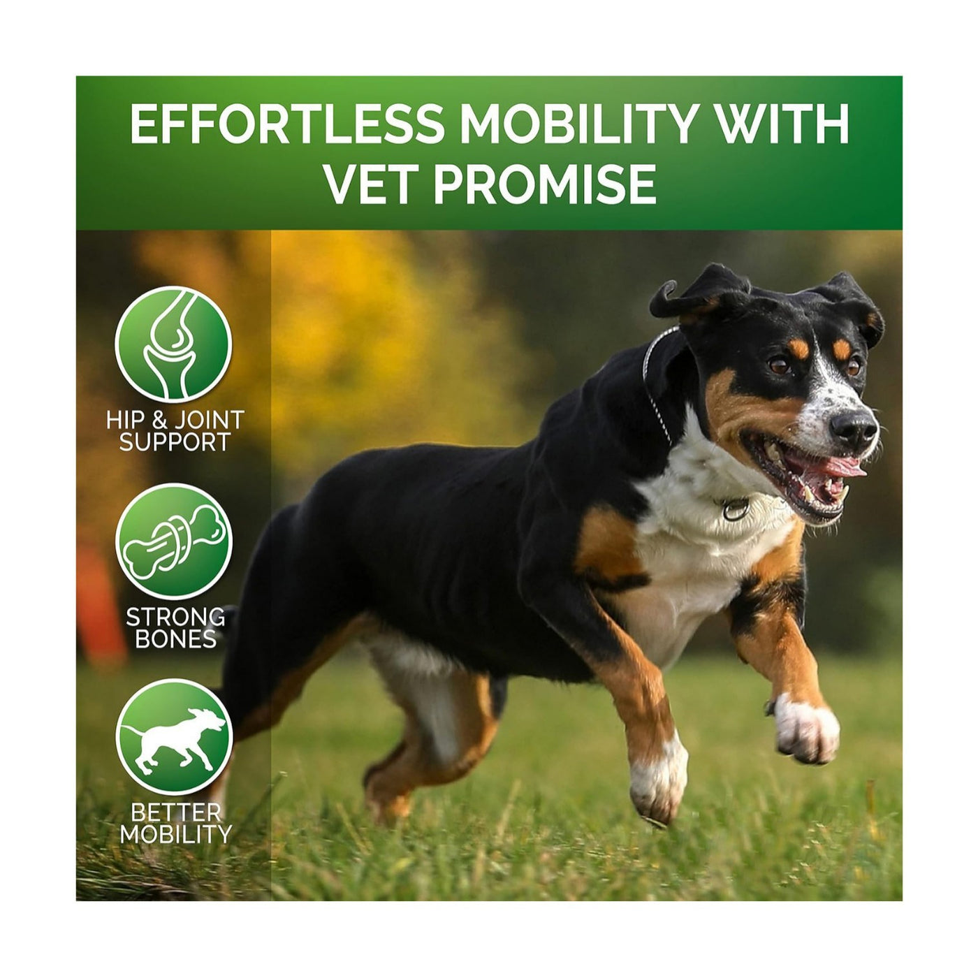 Natural Hip & Joint Support for Dogs
