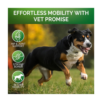 Natural Hip & Joint Support for Dogs