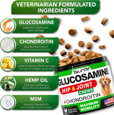Natural Hip & Joint Support for Dogs