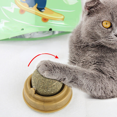 Catnip Balls for Cats