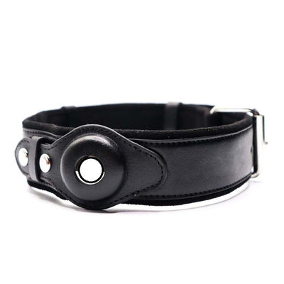 Premium First Layer Leather Dog Collar with GPS Location Tracker